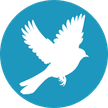 Image is not available