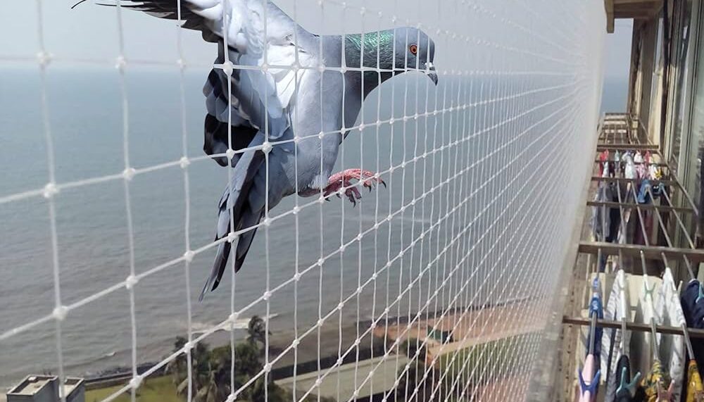 Pigeon nets