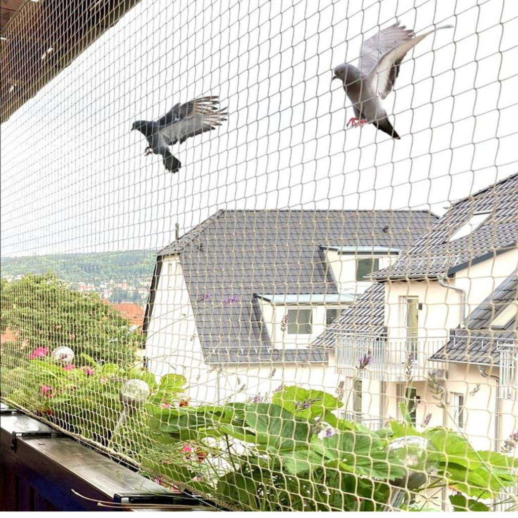 Pigeon nets