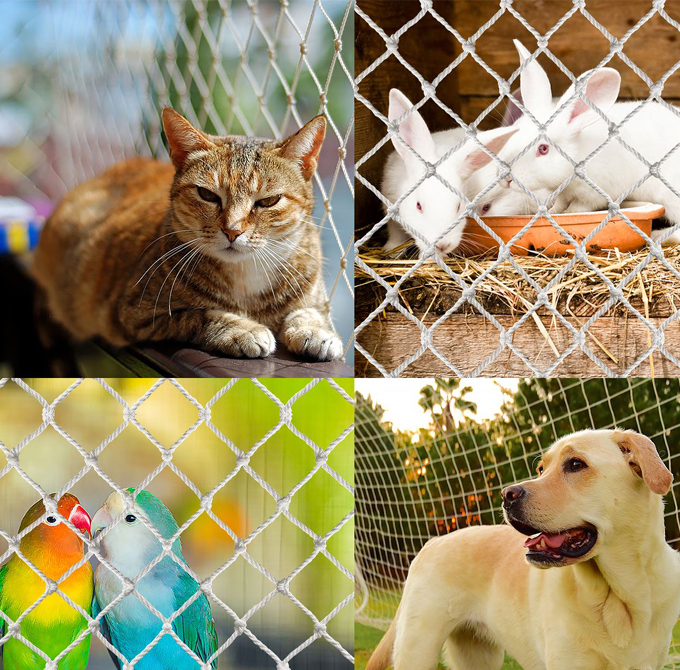 Pet safety nets